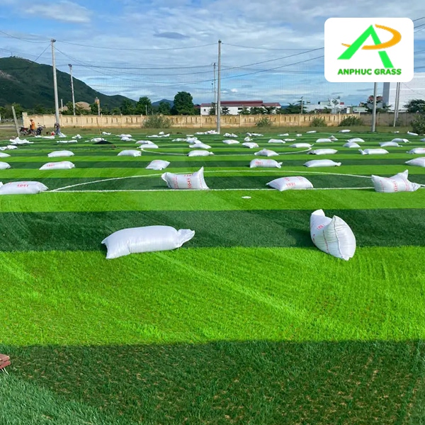 Cỏ nhân tạo bao nhiêu sợi