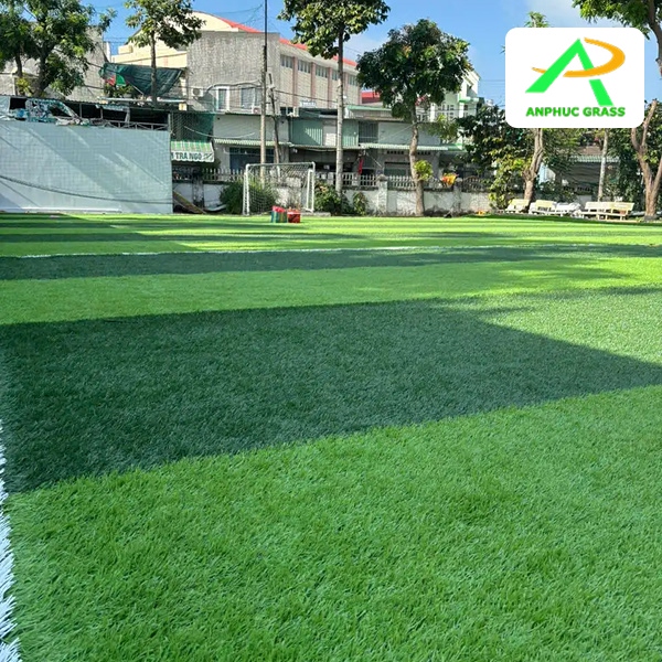 Cỏ nhân tạo sân mini bao nhiêu tiền