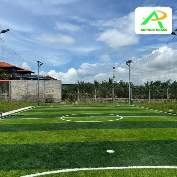 Cỏ nhân tạo sân mini bao nhiêu tiền