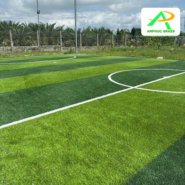 Cỏ nhân tạo sân mini bao nhiêu tiền