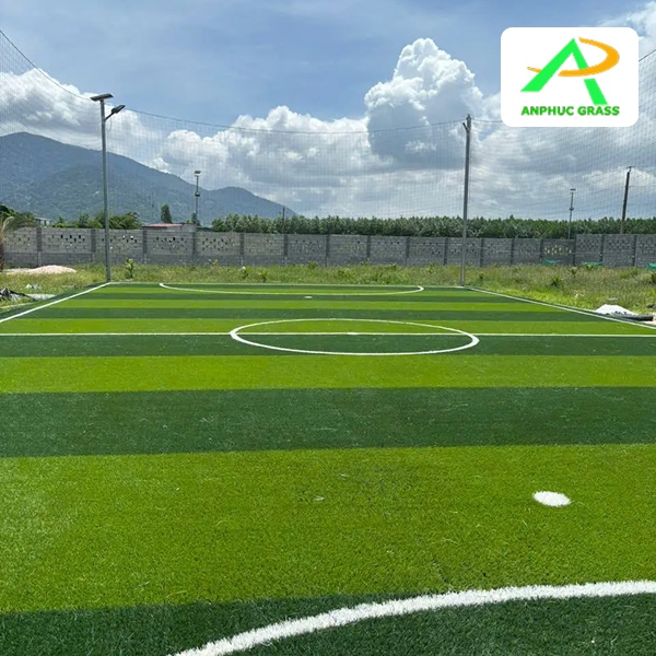 Cỏ nhân tạo sân mini bao nhiêu tiền