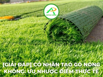 [Giải đáp] Cỏ nhân tạo có nóng không: Ưu nhược điểm thực tế