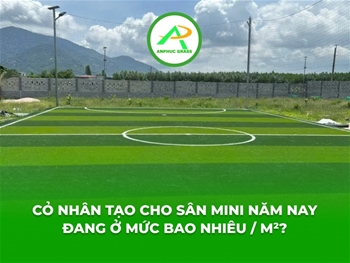Cỏ nhân tạo cho sân mini năm nay đang ở mức bao nhiêu / m²?