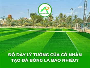 Độ dày lý tưởng của cỏ nhân tạo đá bóng là bao nhiêu?