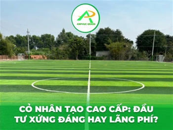 Cỏ nhân tạo cao cấp: Đầu tư xứng đáng hay lãng phí?
