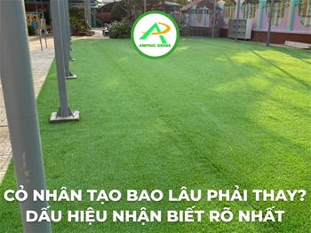 Cỏ nhân tạo bao lâu phải thay? Dấu hiệu nhận biết rõ nhất