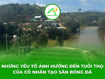 Những yếu tố ảnh hưởng đến tuổi thọ của cỏ nhân tạo sân bóng đá