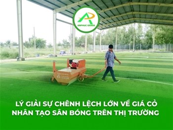 Lý giải sự chênh lệch lớn về giá cỏ nhân tạo sân bóng trên thị trường