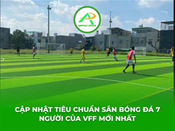 Cập nhật tiêu chuẩn sân bóng đá 7 người của VFF mới nhất
