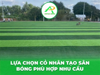Lựa chọn cỏ nhân tạo sân bóng phù hợp nhu cầu