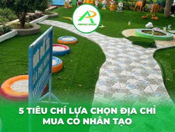 5 tiêu chí lựa chọn địa chỉ mua cỏ nhân tạo 