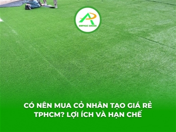 Có nên mua cỏ nhân tạo giá rẻ TPHCM? Lợi ích và hạn chế