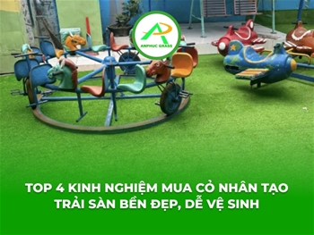 Top 4 kinh nghiệm mua cỏ nhân tạo trải sàn bền đẹp, dễ vệ sinh