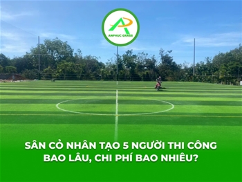 Sân cỏ nhân tạo 5 người thi công bao lâu, chi phí bao nhiêu?