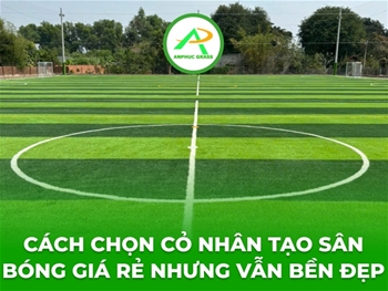 Cách chọn cỏ nhân tạo sân bóng giá rẻ nhưng vẫn bền đẹp