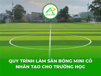 Quy trình làm sân bóng mini cỏ nhân tạo cho trường học