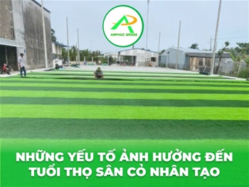 Những yếu tố ảnh hưởng đến tuổi thọ sân cỏ nhân tạo