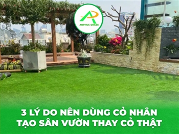 3 lý do nên dùng cỏ nhân tạo sân vườn thay cỏ thật