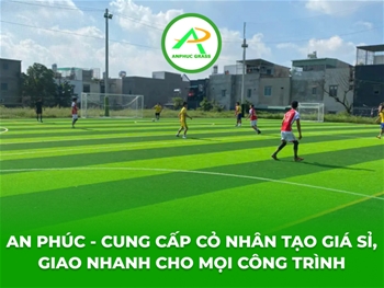 An Phúc - Cung Cấp Cỏ Nhân Tạo Giá Sỉ, Giao Nhanh Cho Mọi Công Trình