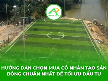 Hướng dẫn chọn mua cỏ nhân tạo sân bóng chuẩn nhất