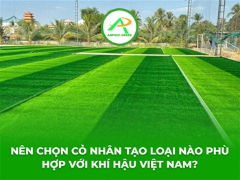 Nên Chọn Cỏ Nhân Tạo Loại Nào Phù Hợp Với Khí Hậu Việt Nam?