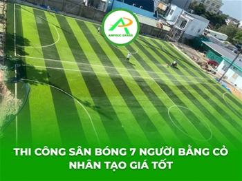 Thi công sân bóng 7 người bằng cỏ nhân tạo giá tốt