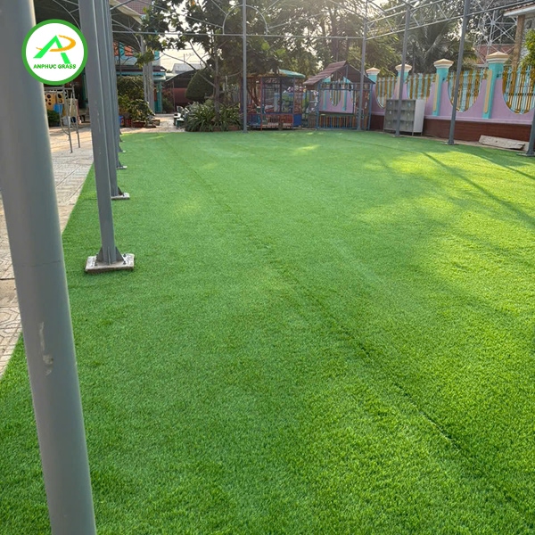 cỏ nhân tạo bao lâu phải thay