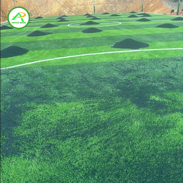 Thảm cỏ nhân tạo giá rẻ