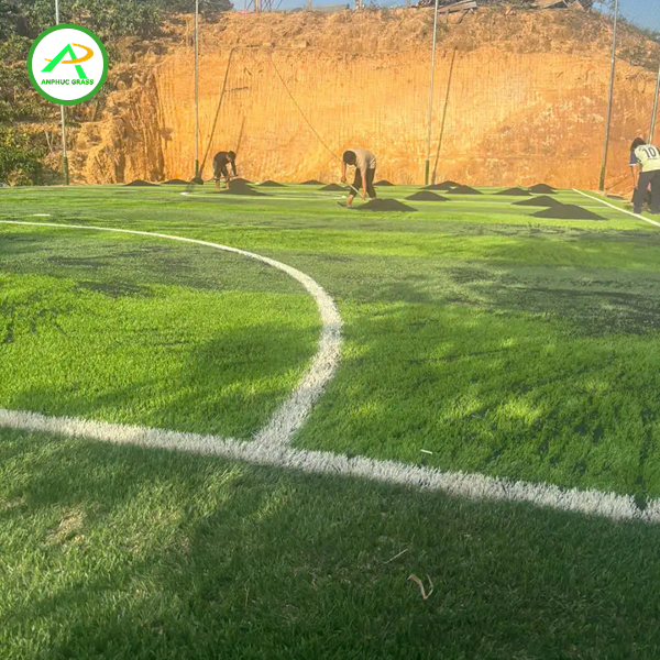 Cỏ nhân tạo sân bóng đá