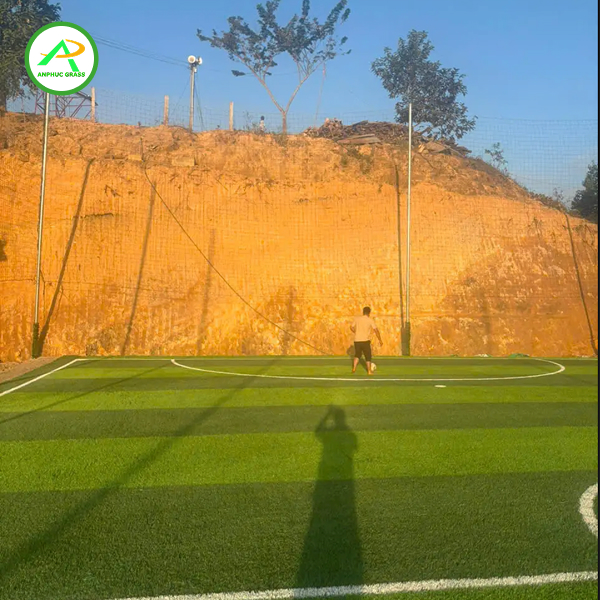 Cỏ nhân tạo sân bóng đá