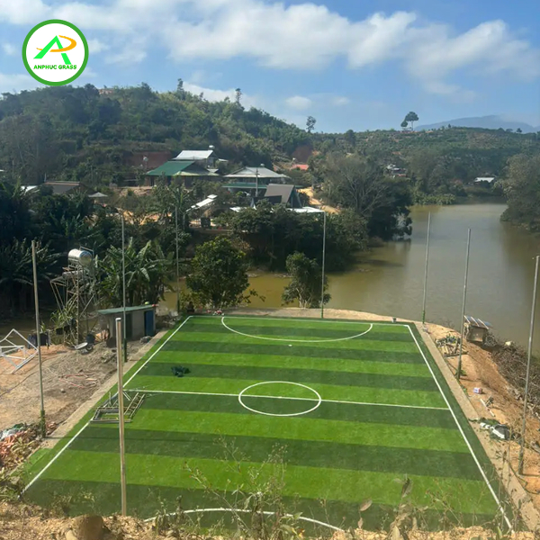 Cỏ nhân tạo sân bóng đá