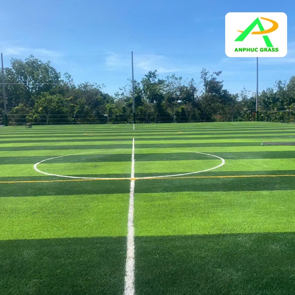 Làm sân bóng cỏ nhân tạo