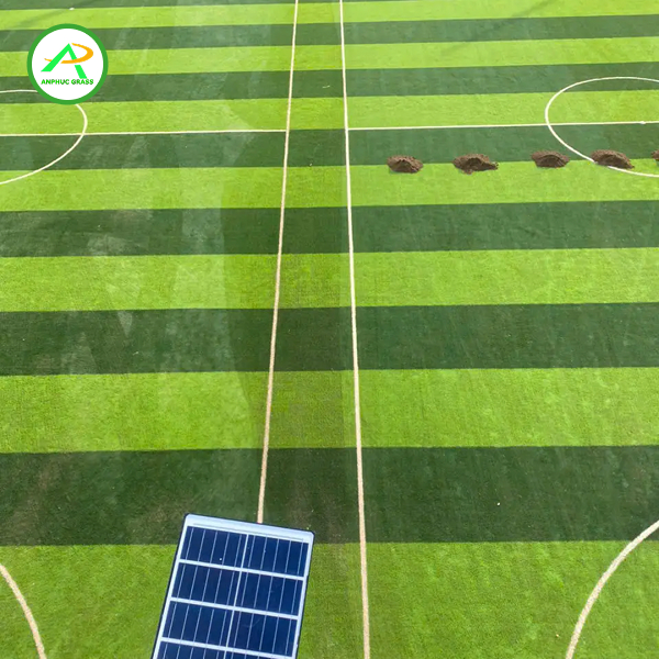 Sân bóng nhân tạo