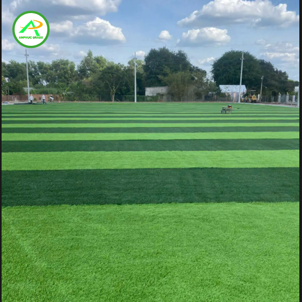 sân cỏ nhân tạo 5 người