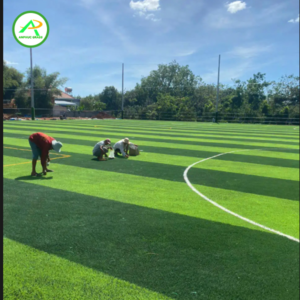 Tiêu chuẩn sân bóng đá 7 người