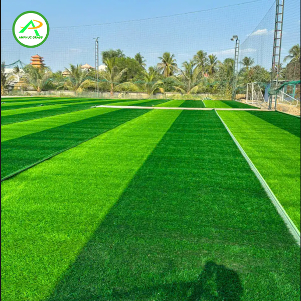 cỏ nhân tạo làm mô hình