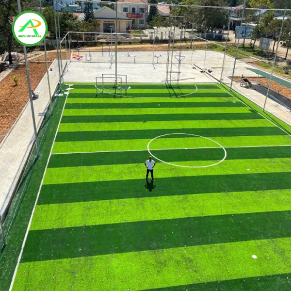 sân cỏ nhân tạo 5 người