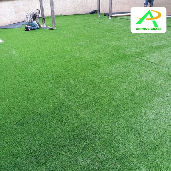 cỏ nhân tạo giá rẻ