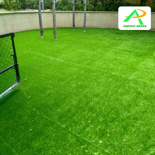 cỏ nhân tạo giá rẻ