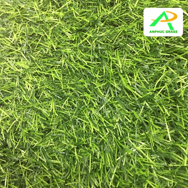 cỏ nhân tạo giá rẻ