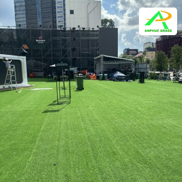 cỏ nhân tạo sân vườn