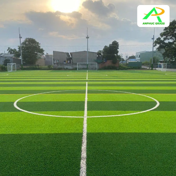chiều dài sân cỏ nhân tạo 7 người