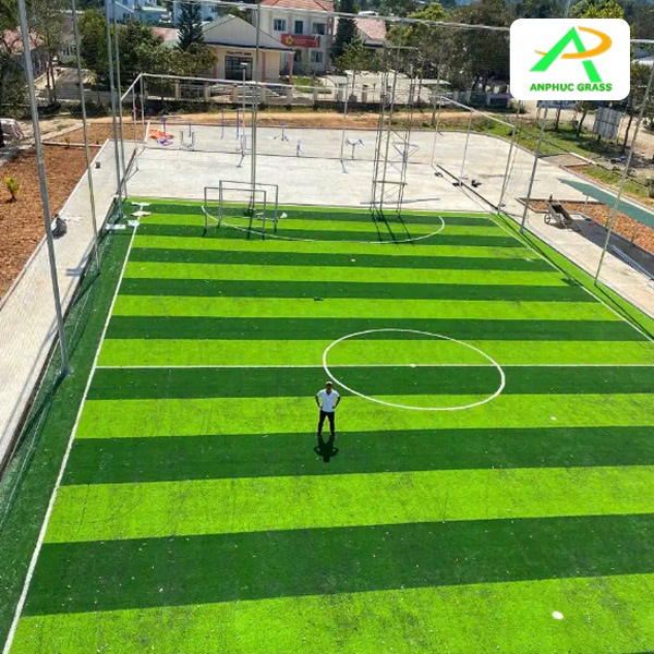 chiều dài sân cỏ nhân tạo 7 người