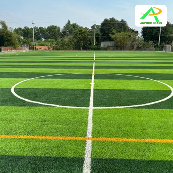 chiều dài sân cỏ nhân tạo 7 người