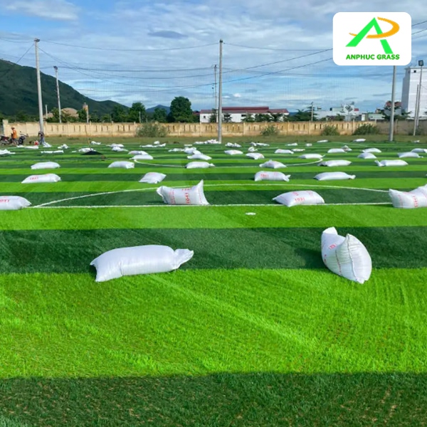 chiều dài sân cỏ nhân tạo 7 người