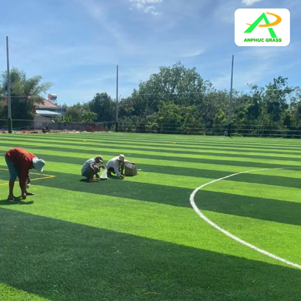 chiều dài sân cỏ nhân tạo 7 người