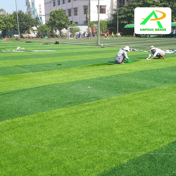 cỏ nhân tạo bao nhiêu 1m?