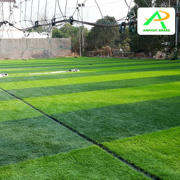 cỏ nhân tạo bao nhiêu 1m