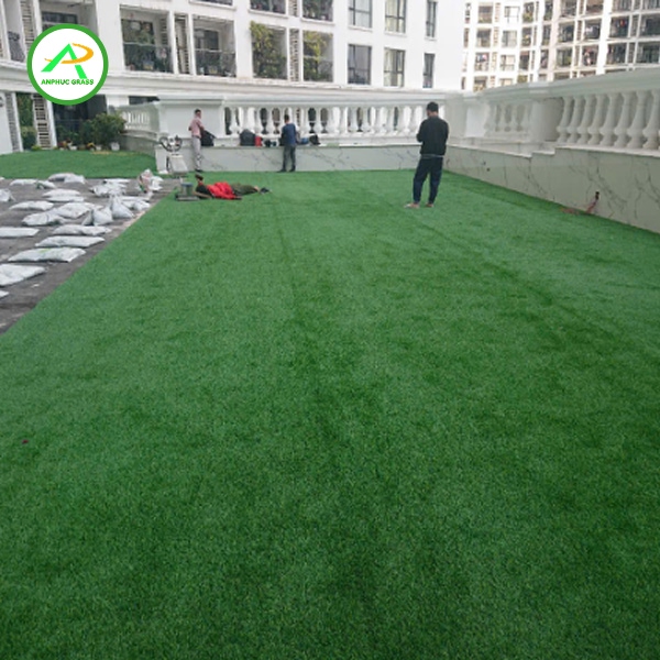 Cỏ nhân tạo sân thượng