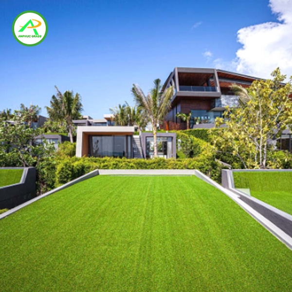 Cỏ nhân tạo sân thượng